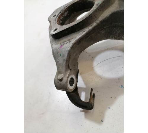 Кулак задний левый