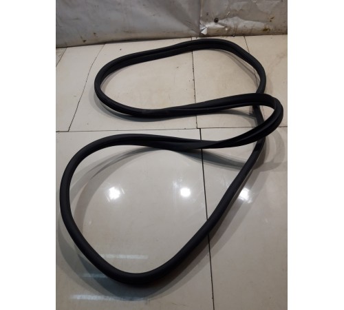 Уплотнитель двери (задний, левый)