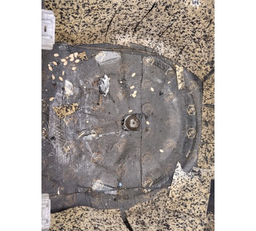 Ниша багажника(запасного колеса)