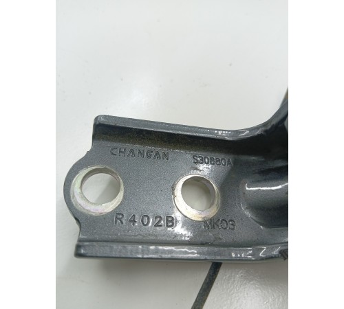 Комплект петель задней правой двери