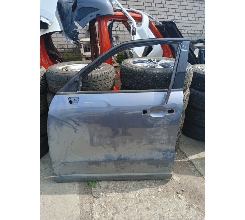 Дверь передняя левая