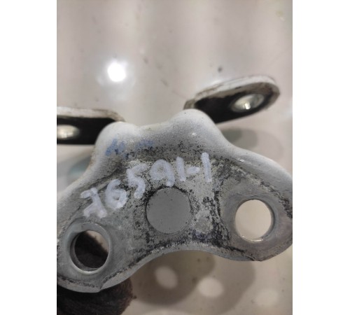 Петля двери (передняя, правая, нижняя)