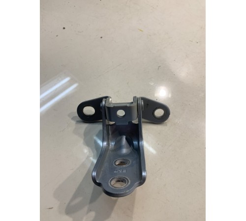 Петля двери (задняя, левая, нижняя)