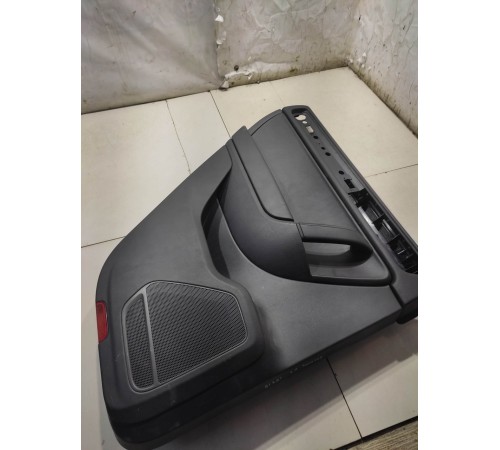 Обшивка двери (задняя левая)