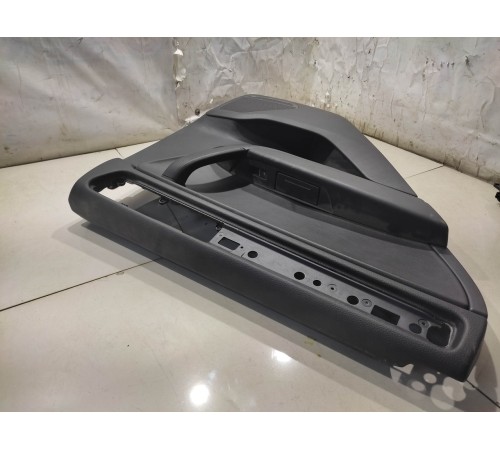 Обшивка двери (задняя левая)