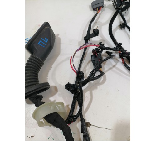 Проводка двери передняя левая