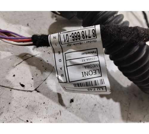 Электропроводка двери (передняя левая)