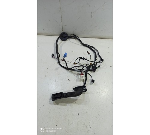 Электропроводка двери (задняя правая)