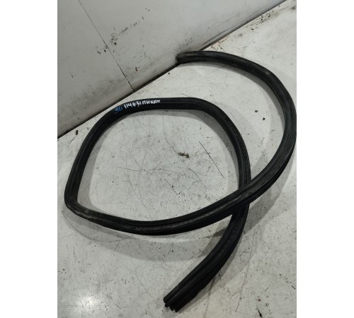 Уплотнитель двери задний левый