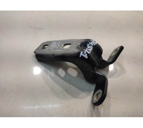 Петля двери (левая, нижняя)