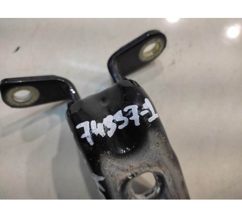 Петля двери (левая, нижняя)