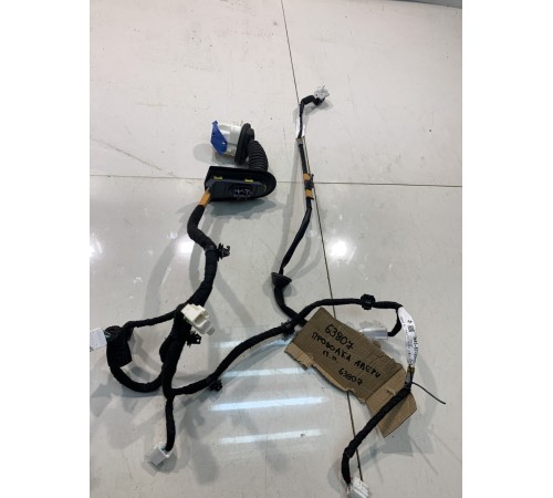 Электропроводка двери (передняя, правая)