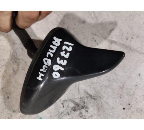 Антенна (плавник)