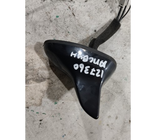 Антенна (плавник)