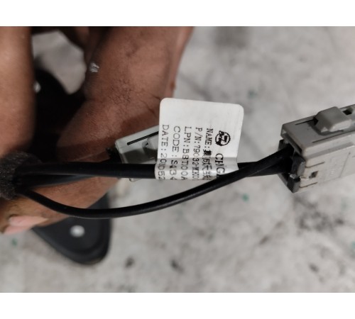 Антенна (плавник)