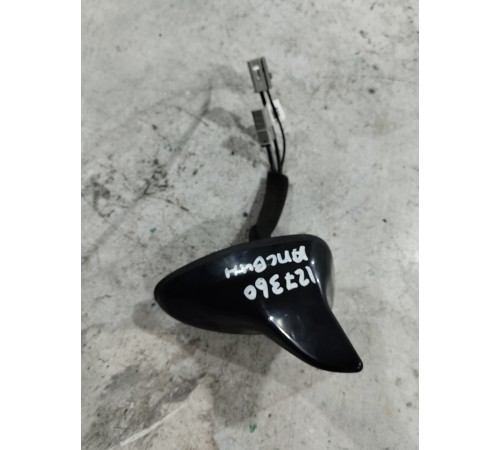 Антенна (плавник)