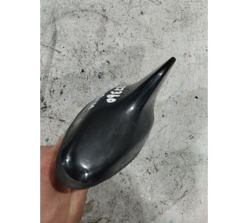 Антенна (плавник)