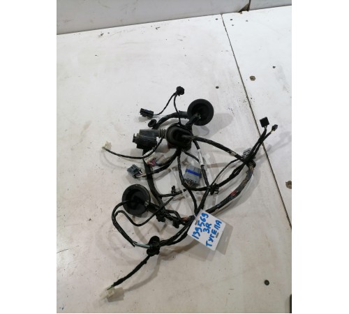 Проводка двери задняя правая