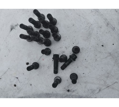 Комплект колесных болтов (20 шт.)