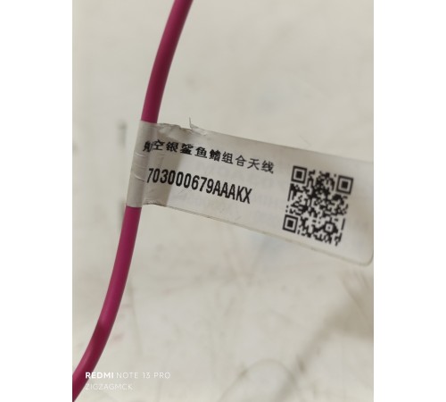 Антенна (плавник)