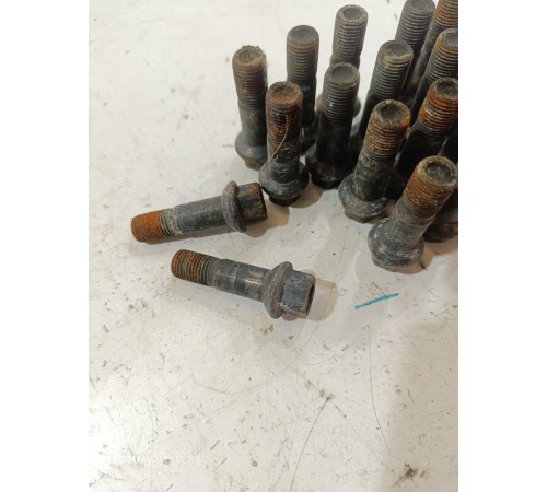 Комплект колесных болтов 20 шт