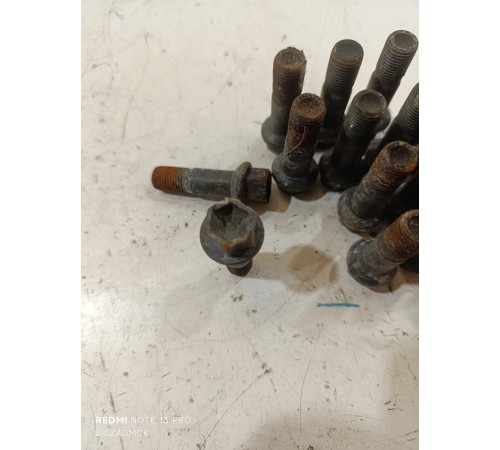 Комплект колесных болтов 20 шт