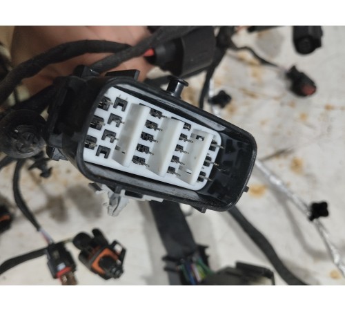 Электропроводка двигателя моторная