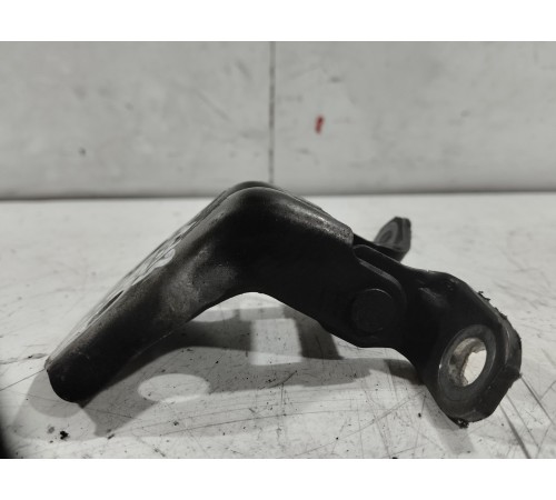 Петля двери(передняя правая верхняя)