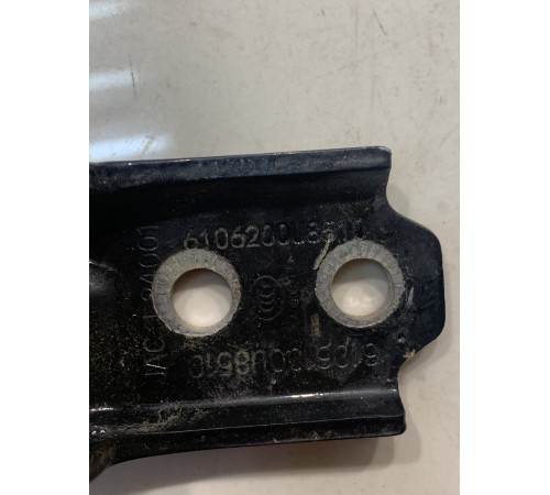 Петля двери (задняя, левая, нижняя)