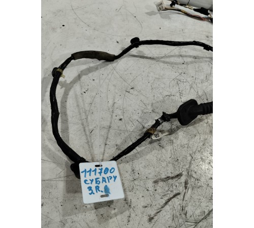 Электропроводка двери (задняя правая)