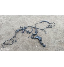 Электропроводка моторная