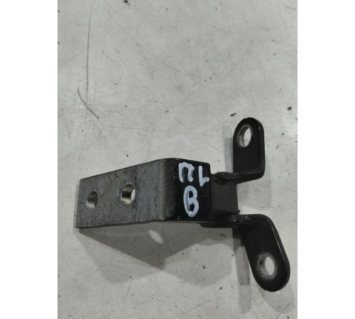 Петля двери(передняя левая верхняя)