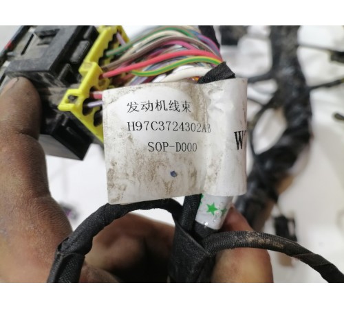 Электропроводка моторная