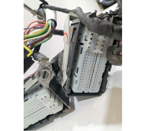 Электропроводка моторная