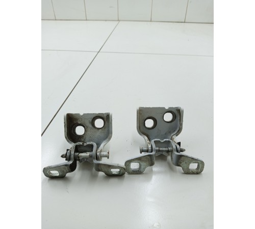 Петли задней левой двери