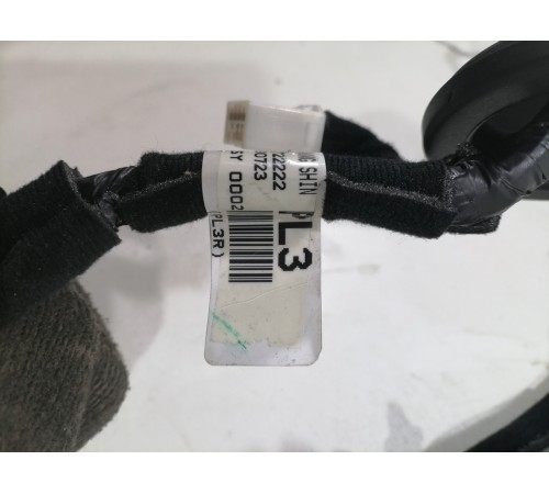 Проводка двери,задняя левая