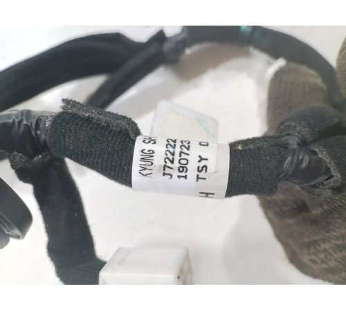 Проводка двери,задняя левая