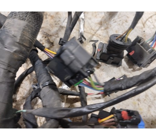 Электропроводка моторная