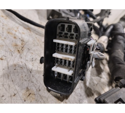 Электропроводка моторная