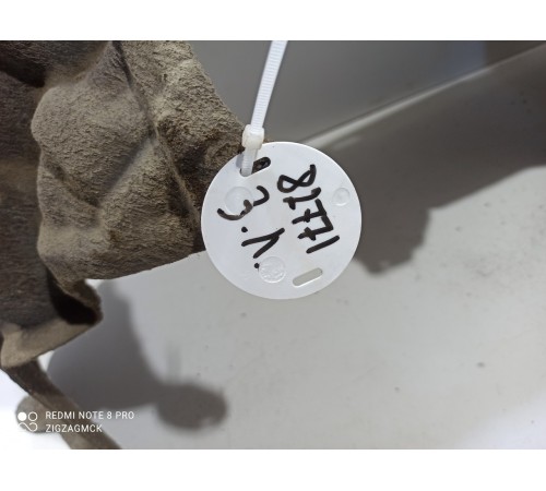 Локер задний левый