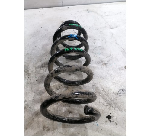Пружина задняя