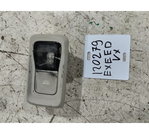 Плафон салона правый