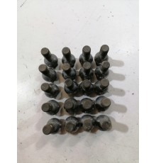 Комплект колесных болтов 20 шт.