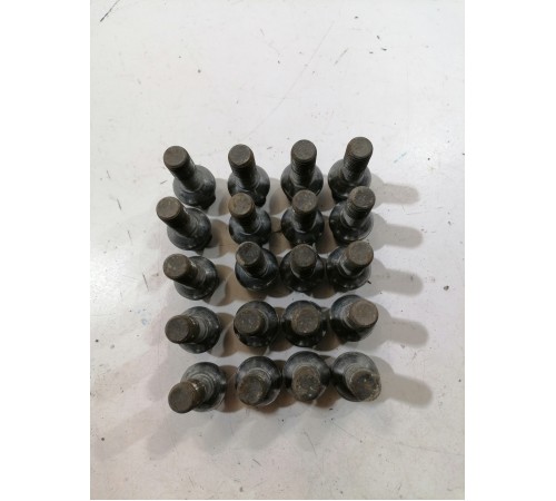 Комплект колесных болтов 20 шт.