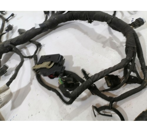 Проводка двигателя, моторная