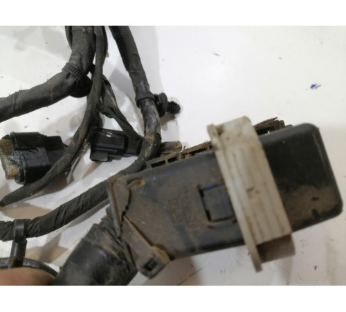 Проводка двигателя, моторная