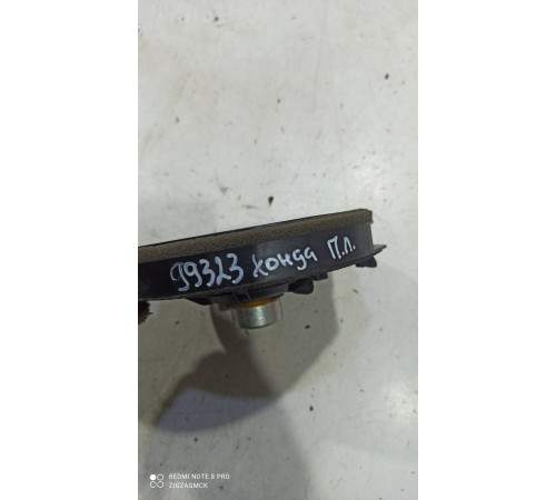 Динамик двери (передний левый)