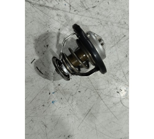 Термоэлемент термостата