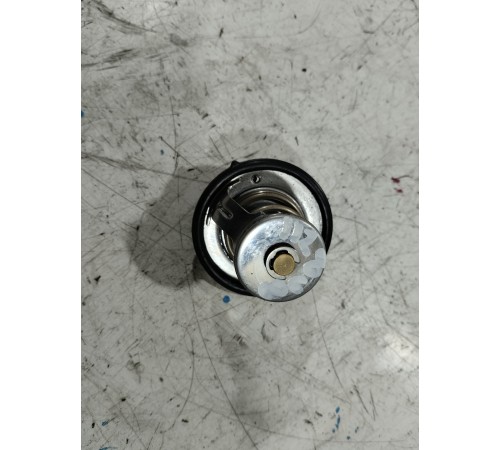 Термоэлемент термостата