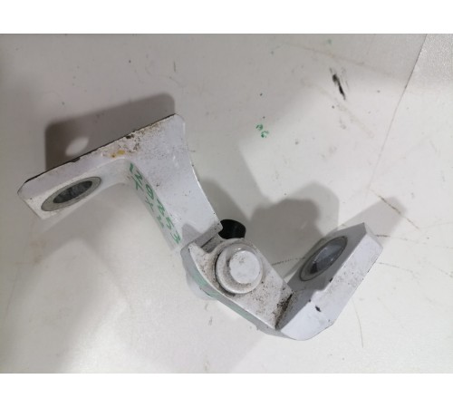 Петля двери задняя левая нижняя